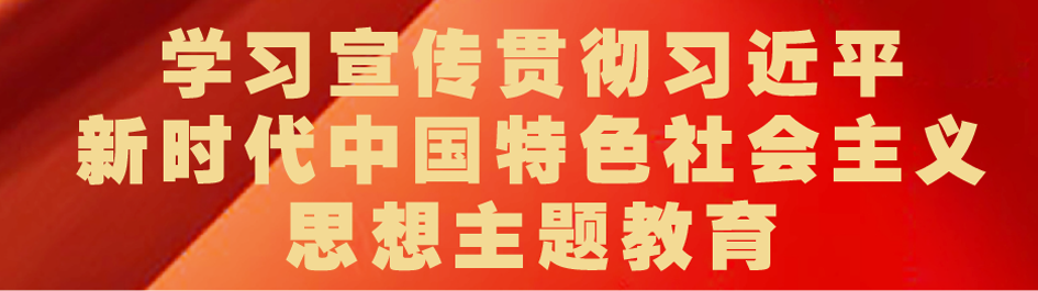 新時(shí)代中國特色社會主義思想主題教育